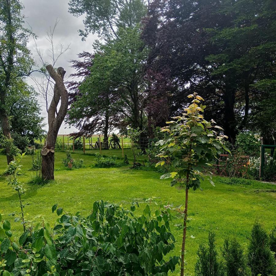 Deich Lägenhet Karolinenkoog Exteriör bild